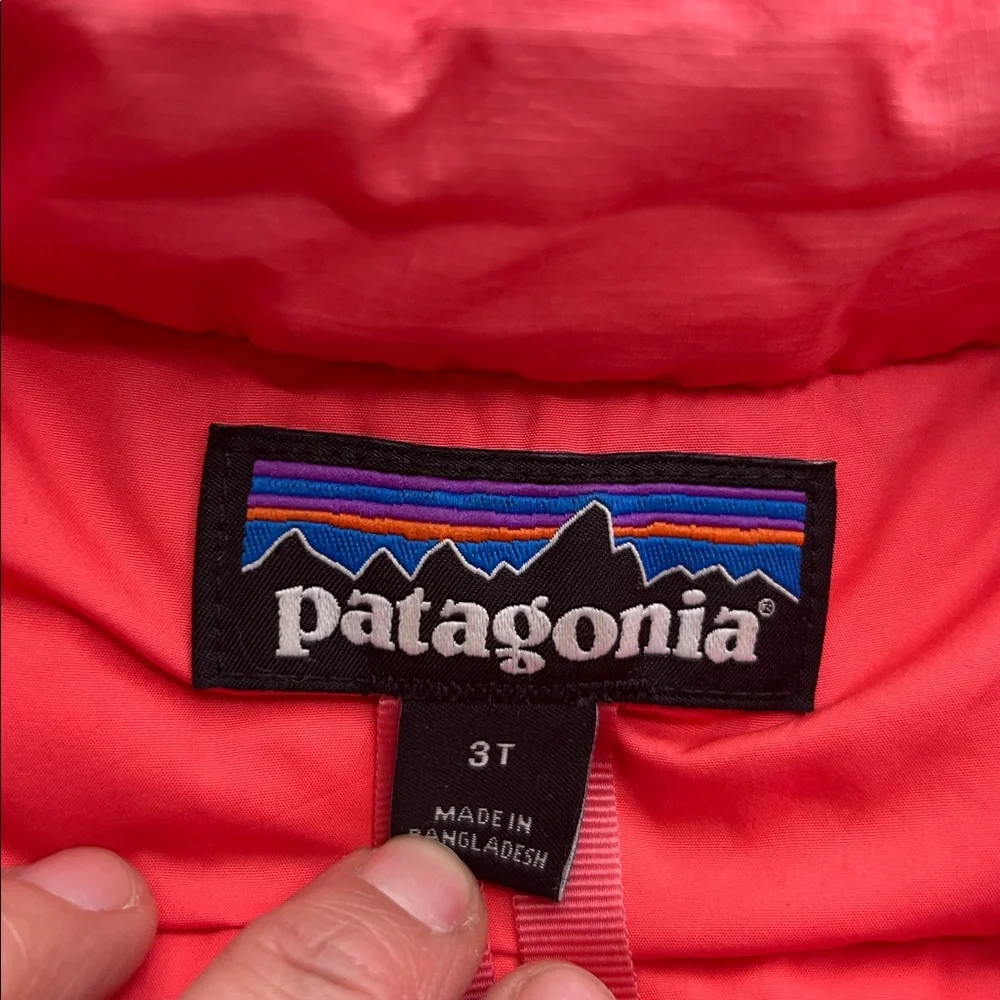 Patagonia Baby Pink Down Sweater Coat Puffer Jacket 3T - Picture 2 of 11
